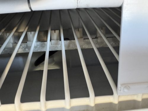 SIMAG SDN 45 WS - használt jéggép